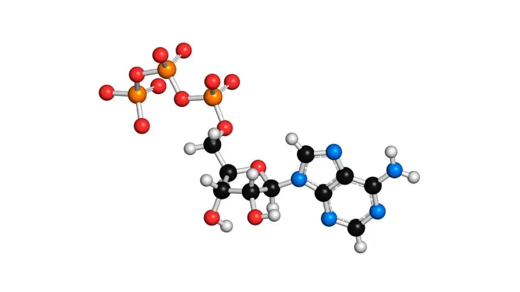 a structure of a molecule