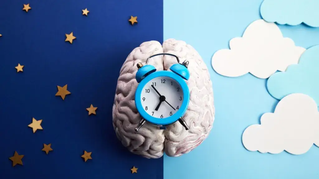 a brain with a clock on it